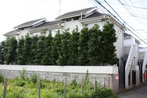 サンフラワー仲町ハイツ101号室 外観