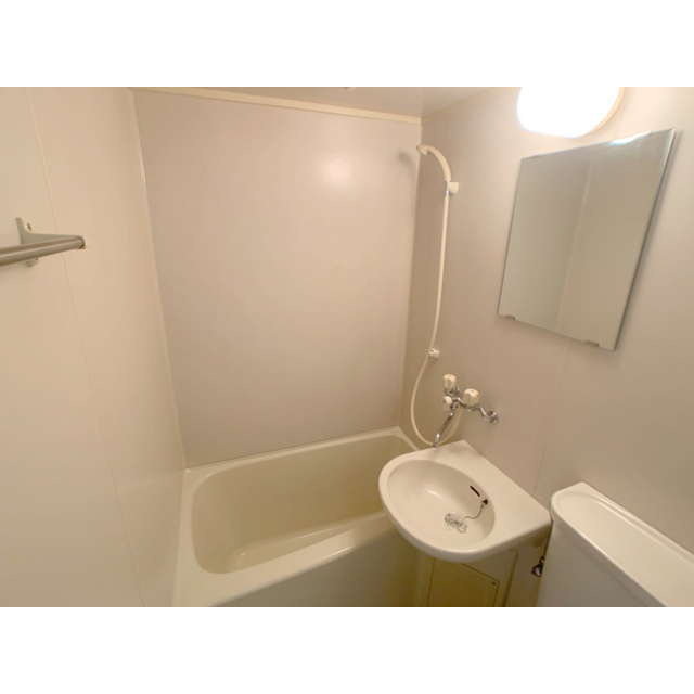 アマリリス211号室 内観