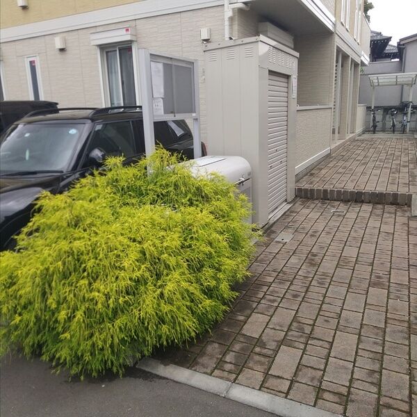 アンベリール  一番町 ゴミストッカー