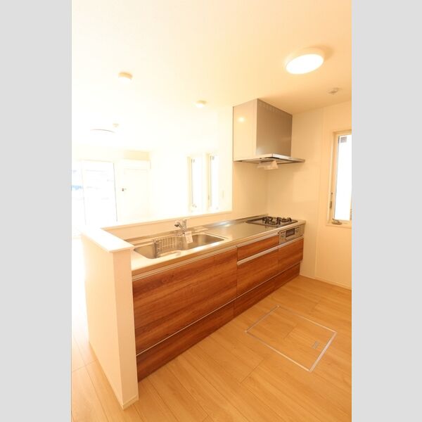 レグルス 対面システムキッチン