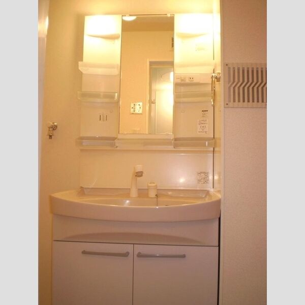 ボンヌール　アビタシオン203号室 洗髪洗面化粧台