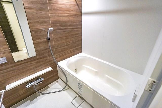 ジェノヴィア本所吾妻橋Ⅱスカイガーデン2階 玄関