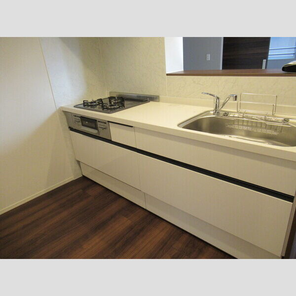 Buena Venir(ブエナ　ヴェニール) システムキッチン