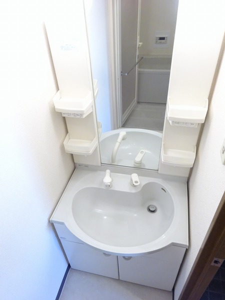 エクセルシオール荻窪501号室 洗面