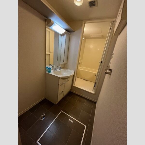 レ・パステック湘南平塚 洗面所