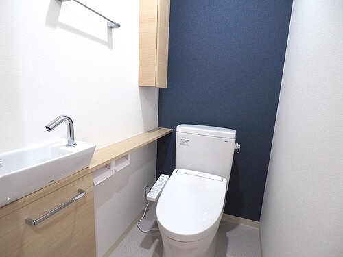 ライオンズマンション川崎第３ トイレ（洗浄機能付き便座・手洗い場有り）