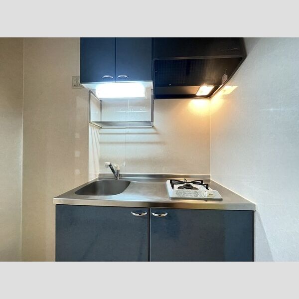 シルヴァンブリーズ101号室 システムキッチン