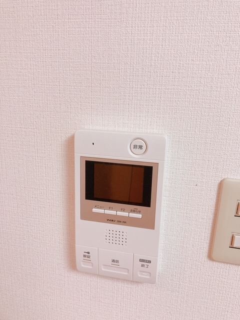 グランディオール白楽0205号室 セキュリティ