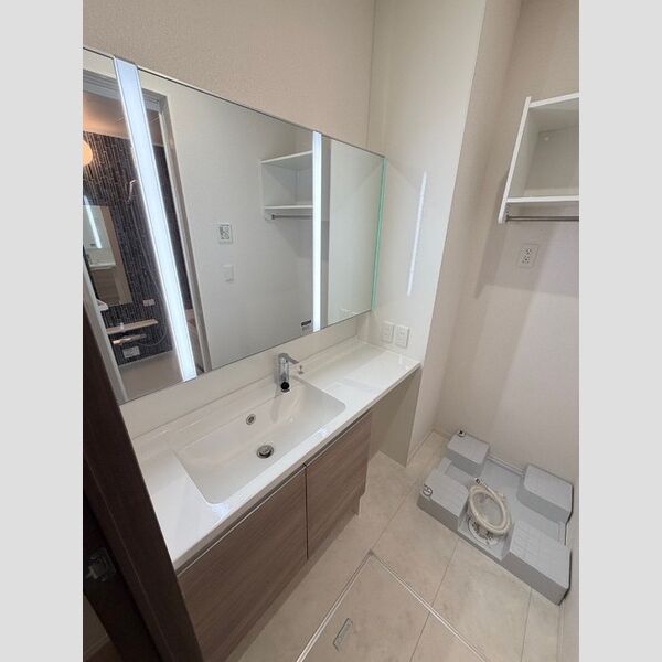 アンスリウム湘南台102号室 洗面所