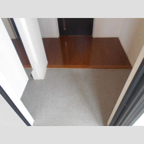 イルソーレ吉川美南　ジャッロ202号室 玄関