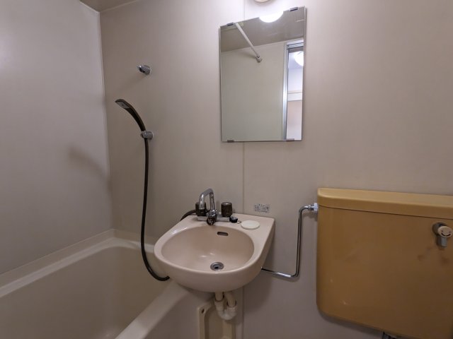 セントラル本厚木0502号室 洗面