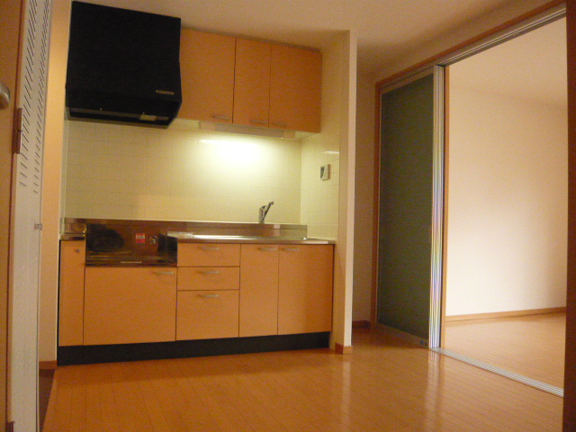 プレジールカネノ0207号室 キッチン