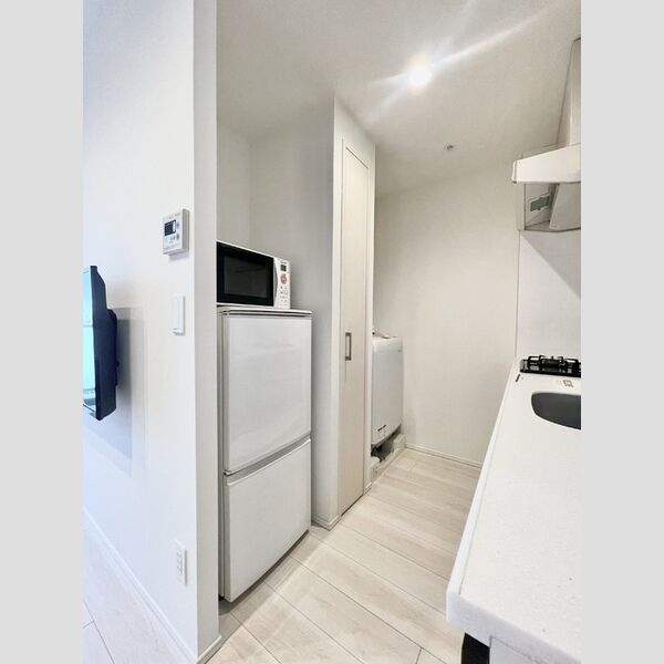 ロイジェントパークス四ツ谷901号室 洋室