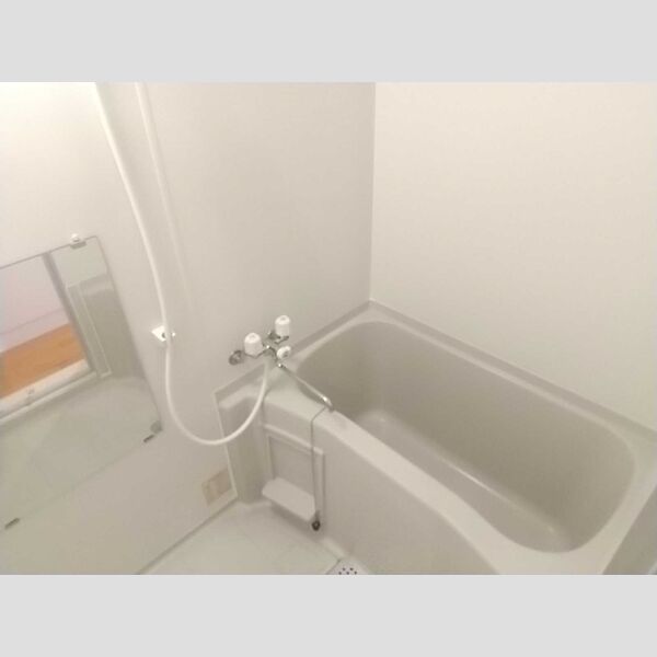 アバンウェル ディッツォ201号室 浴室