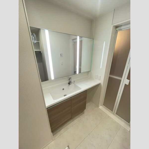 ラペーシュ湘南台203号室 洗面所