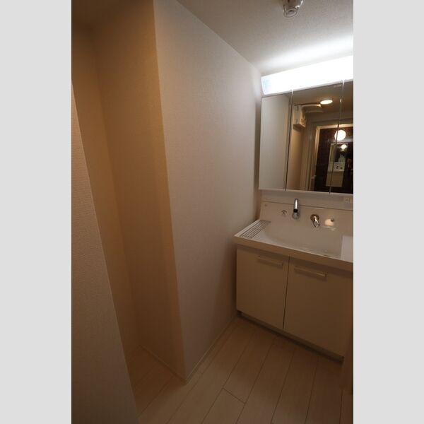 エクセリア中村北 洗面