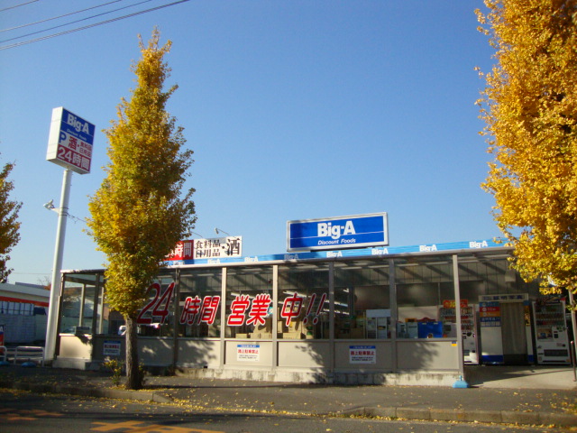 アールＵⅢ103号室 ビッグ・エー我孫子湖北台店まで659ｍ