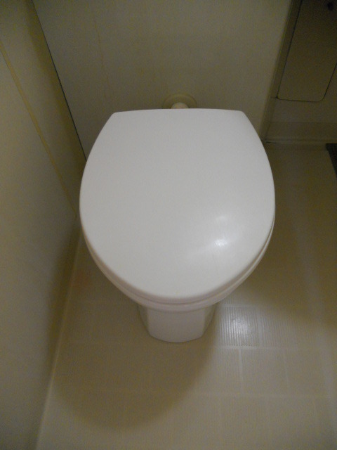 ベルハイツ相模原0202号室 トイレ