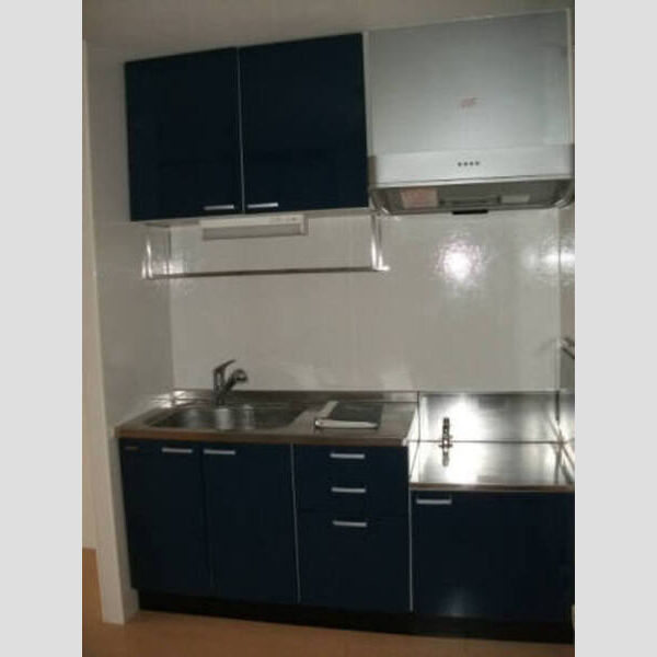 アベニュー吹上203号室 キッチン