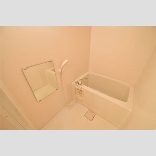 アークグレイス　Ⅲ バス