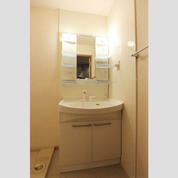 ヴィブレ・コンフォール202号室 洗髪洗面化粧台