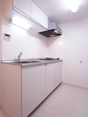 リブリ・SUN GREEN キッチン