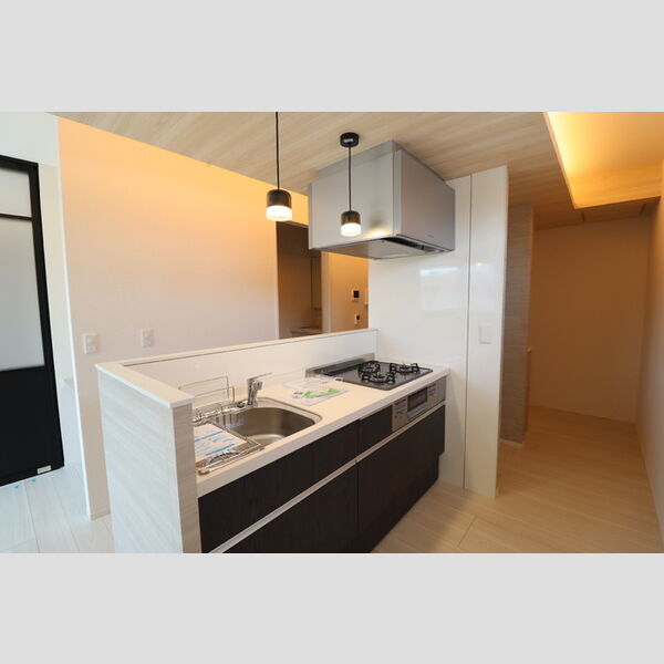 D-カヴェリ本千葉302号室 キッチン