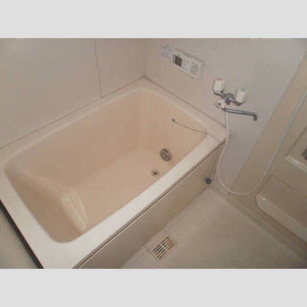 吉川タウンハウス　Ⅱ201号室 浴室