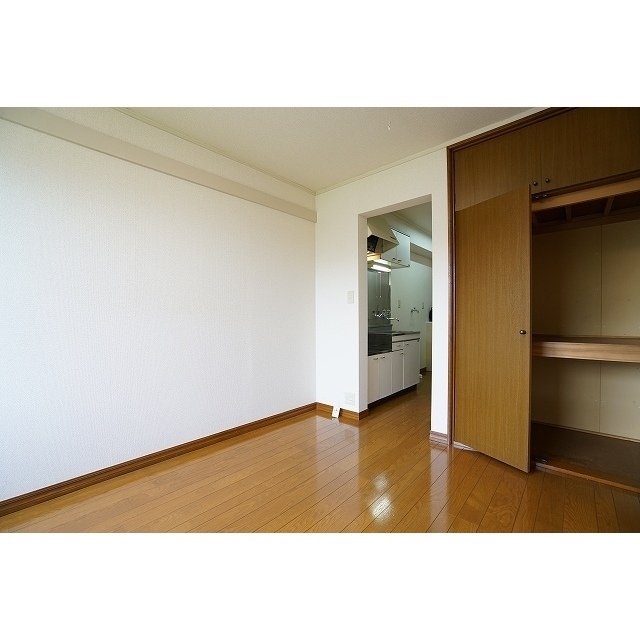 メゾン宮下0202号室 洋室