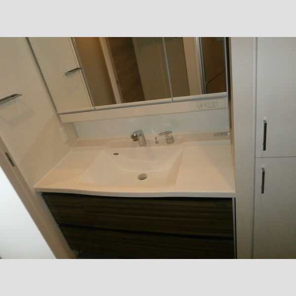 ロイジェントパークス錦糸町602号室 洗髪洗面化粧台