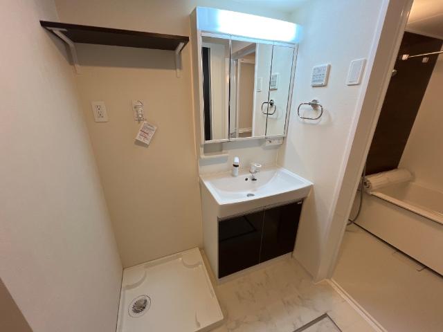アルビコッカ101号室 洗面