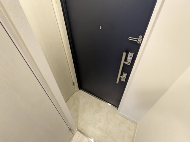 ハーモニーレジデンス蒲田アートヴィラ0304号室 玄関