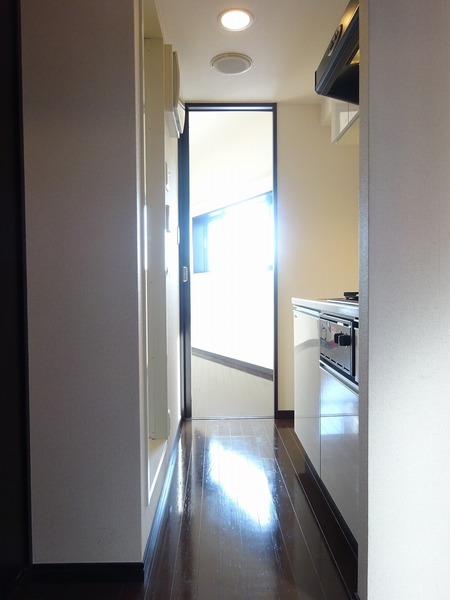 トーシンフェニックス武蔵関803号室 その他