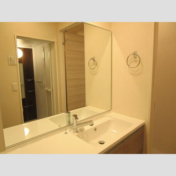 ガルデ妙典103号室 洗髪洗面化粧台