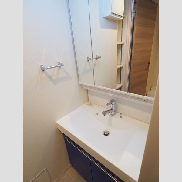 ロイジェントパークス千葉中央0908号室 洗面化粧台