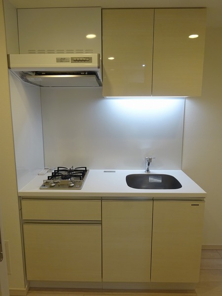 ザ・レジデンス・オブ・トーキョーＫＫ０６101号室 キッチン