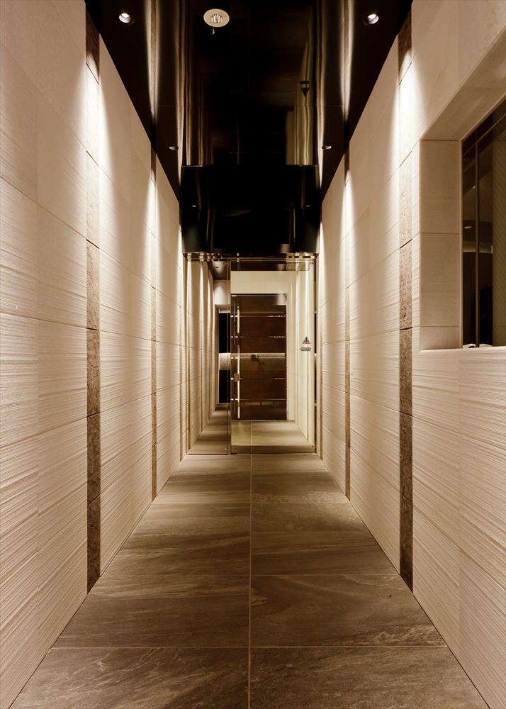 DIPS大山東町701号室 エントランス