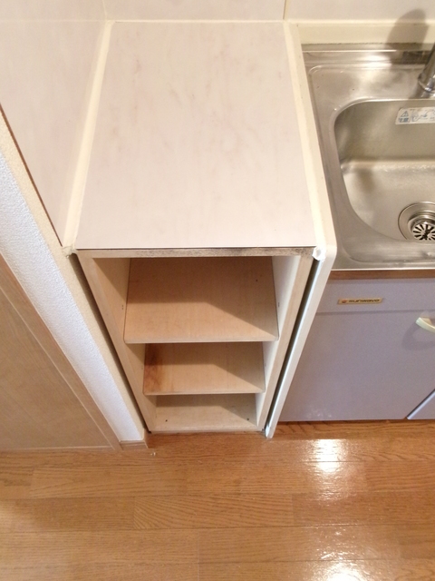 ロイヤルコート北野0211号室 収納