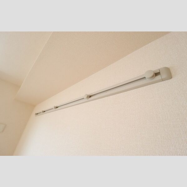 ロイヤルコートC203号室 ハングバー