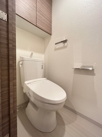 DIPS赤羽北EAST502号室 トイレ