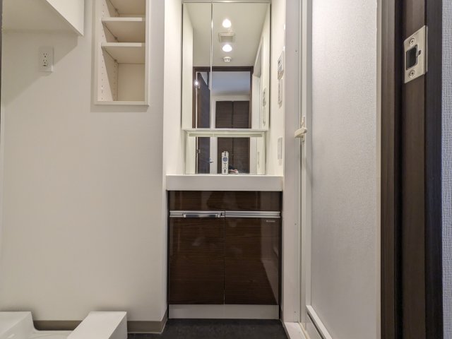 ケーディーエックスレジデンス豊洲526号室 洗面