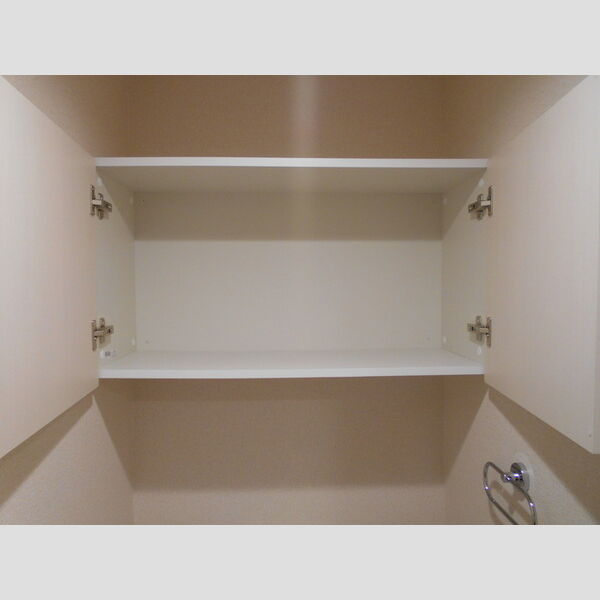 レセーナ203号室 トイレ収納