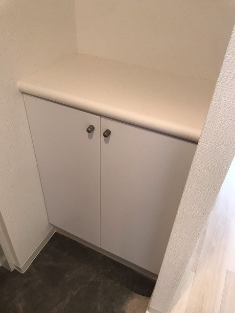 ＫＥＮＺＯ　ＨＡＵＳ　ＥＫＯＤＡ0901号室 収納