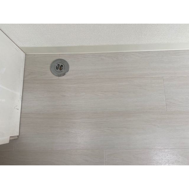 ブルーメ一ツ家55205号室 内観