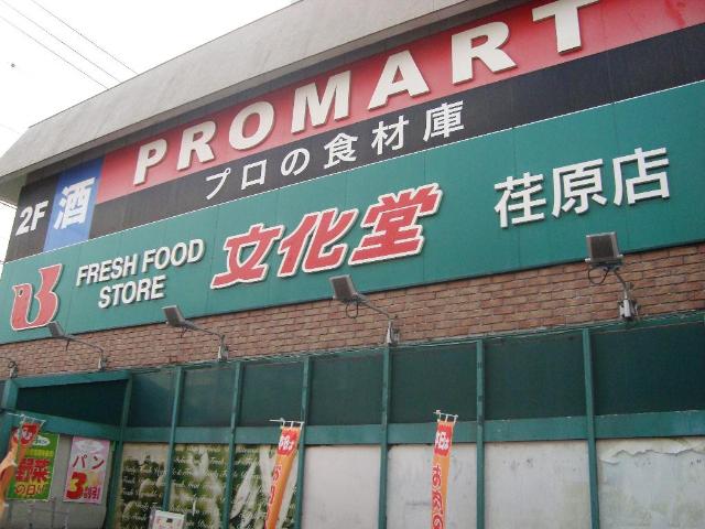 Ｎｅｗ　Ｓｏｌｅｉｌ　Ｎａｋａｎｏｂｕ スーパー文化堂荏原店まで333ｍ