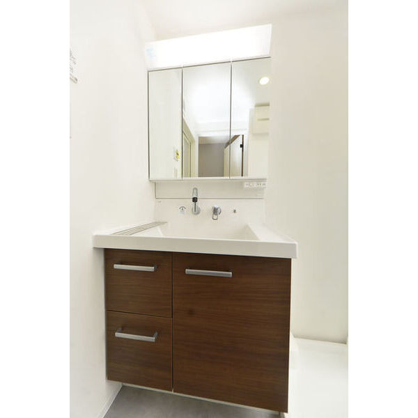 サリースマイル参番館0201号室 洗面