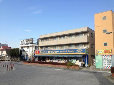 スカイハイツ（飯山満）2階 くすりセイジョー東船橋店
