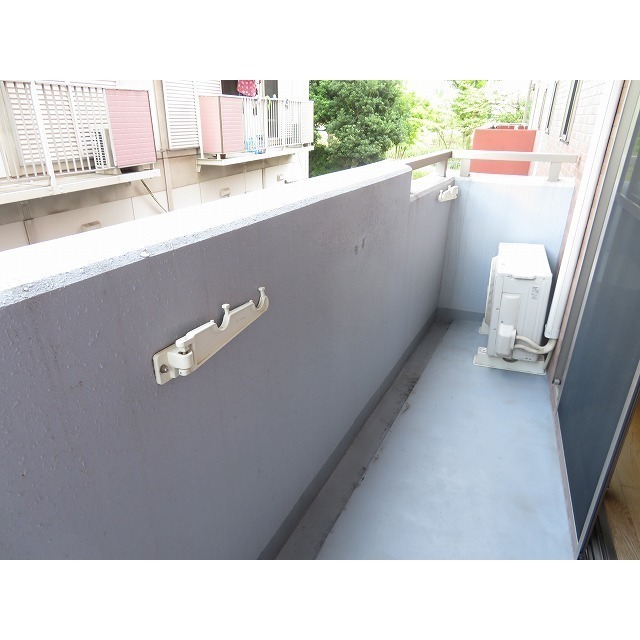 ルビナス・ウエストパレス0203号室 バルコニー