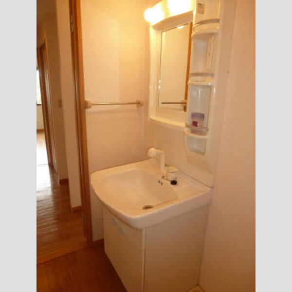 オードリー・モア　参番館 オードリー・モア参番館201シャンプードレッサー