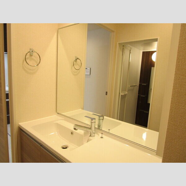 ガルデ妙典105号室 洗髪洗面化粧台